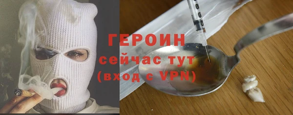гидра Михайловка