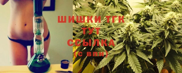 молекула духа Балахна