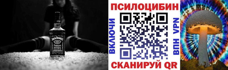 Псилоцибиновые грибы прущие грибы mega ONION Грязи купить закладку